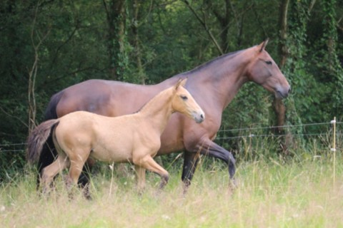 UXETA & DOXANE GUIMERAIE